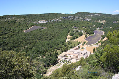 Photo Abbaye de Snanque