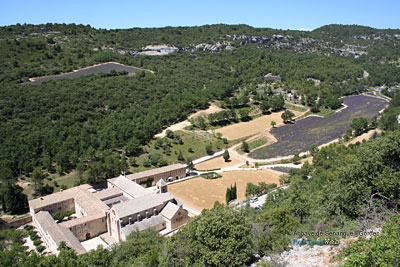 Photo Abbaye de Snanque