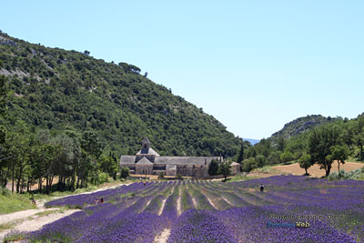 Photo Abbaye de Snanque