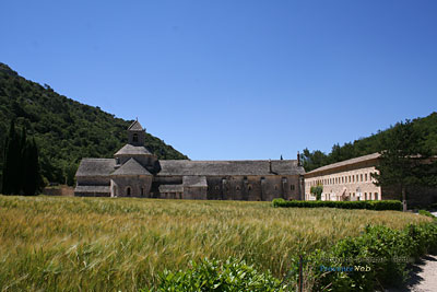 Photo Abbaye de Snanque