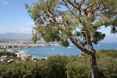 Photo Antibes