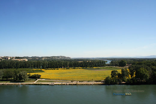 Photo Avignon