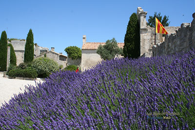 Photo Baux de Provence