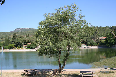 Photo Besse-sur-Issole