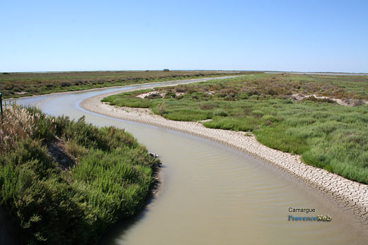 Photo Camargue