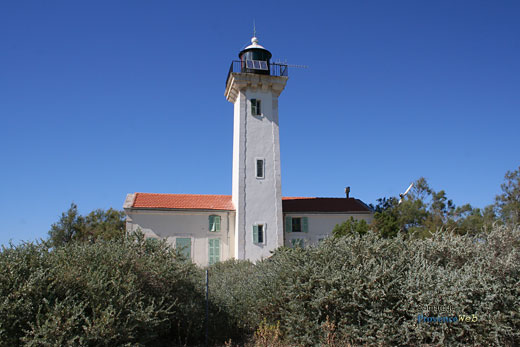 Photo Camargue