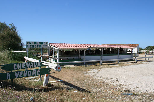 Photo Camargue