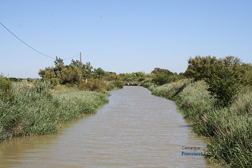 Photo Camargue