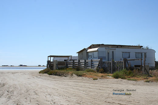 Photo Camargue