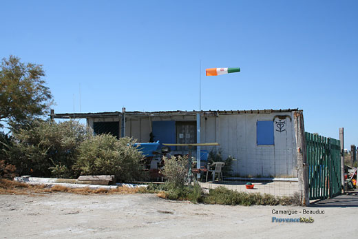 Photo Camargue