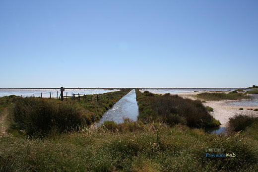 Photo Camargue