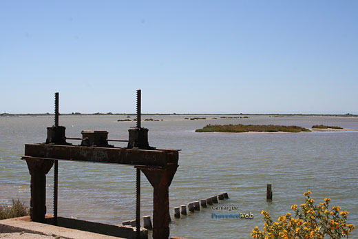 Photo Camargue