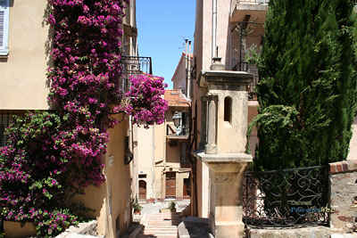 Photo Cannes