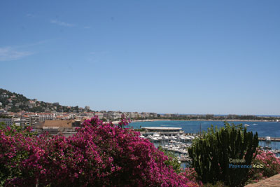 Photo Cannes