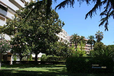 Photo Cannes