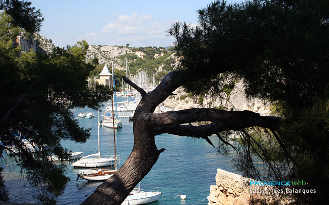 Photo Cassis