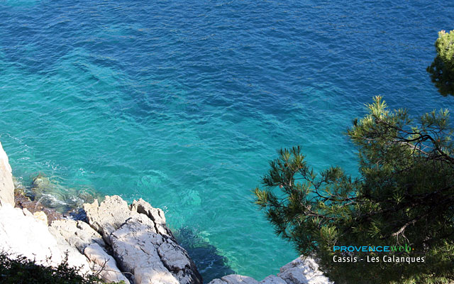 Photo Cassis