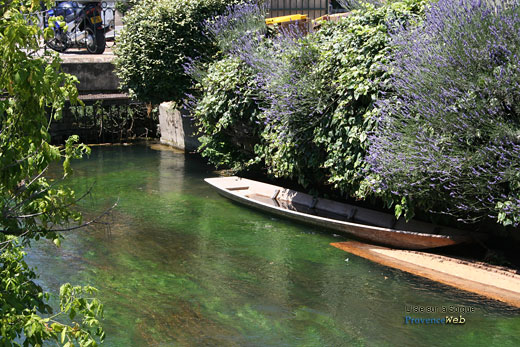 Photo Isle-sur-la-Sorgue