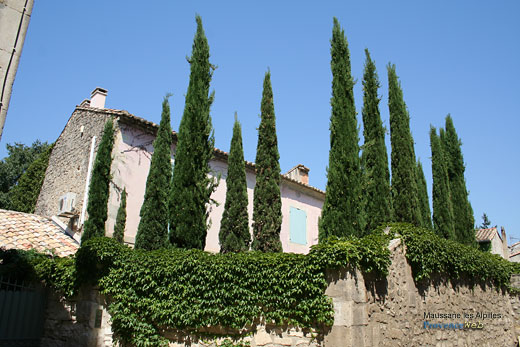 Photo Maussane les Alpilles