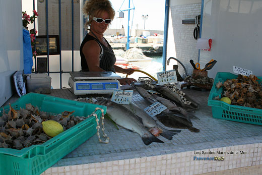 Photo Saintes-Maries-de-la-Mer