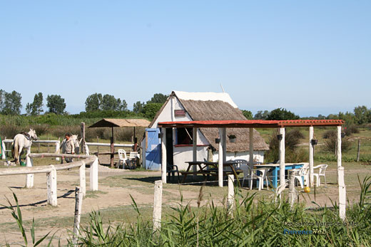 Photo Saintes-Maries-de-la-Mer